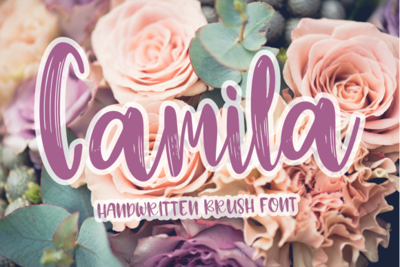 Camila: A Fun and Chunky Font for Branding That Stands Out