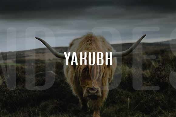 Yakubh: A Modern Display Typeface for Creative Branding